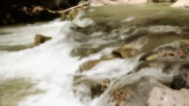 Kleiner Wasserfall auf dem jungfräulichen Fluss — Stockvideo