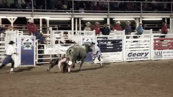 Een paardrijden een grote stier bij de rodeo cowboy — Stockvideo
