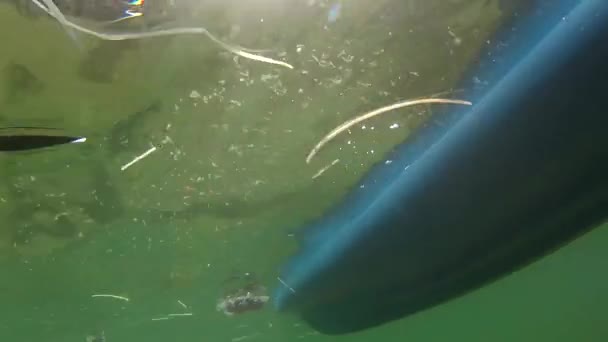 Kajak schwimmt auf der Meeresoberfläche — Stockvideo