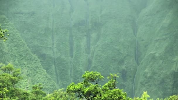 Wasserfälle für die Wand der Tränen — Stockvideo