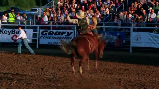 Cowboy cabalga a pelo — Vídeo de stock