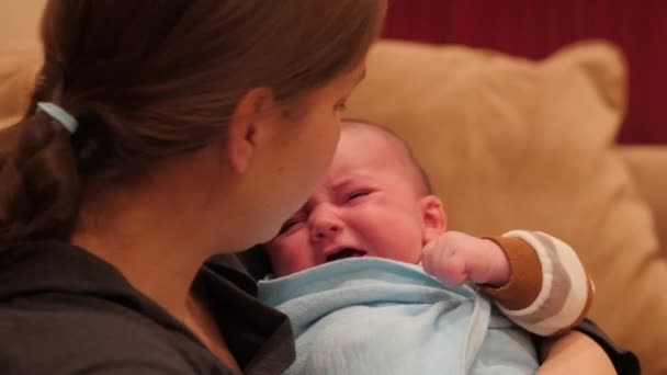 Joven madre amamantando a su bebé — Vídeo de stock