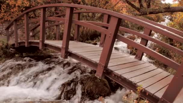 Footbridge over mountain stream — Stock Video