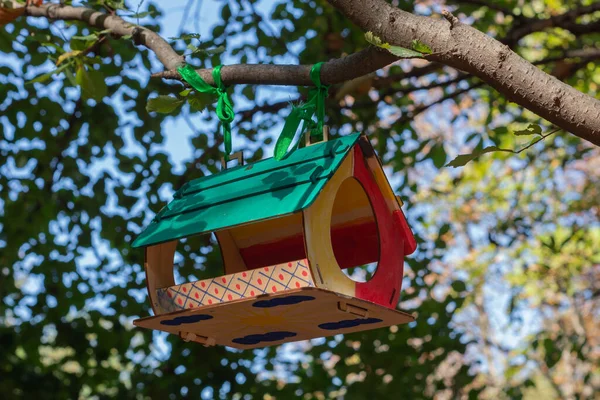 Parktaki bir ağaçta ahşap besleyici.