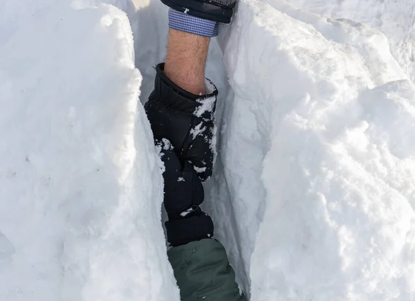 Kış boyunca kar yığınında yaşayan eller..