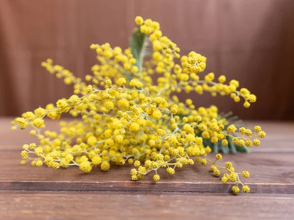 Sarı söğüt, kahverengi bir arka planda, ahşap bir masada.
