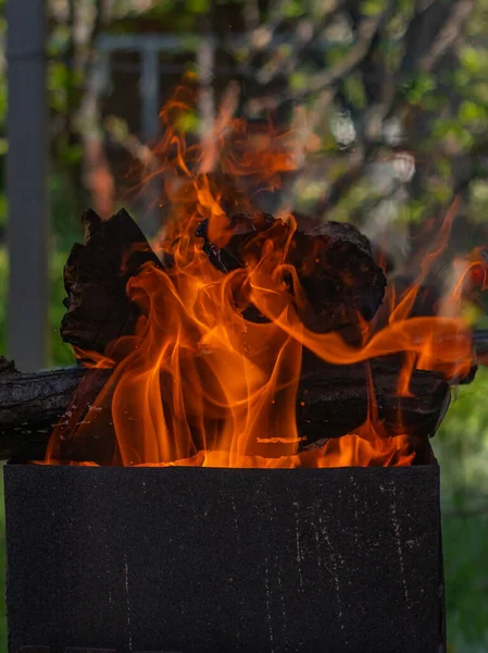 Ogień Grillu Przyrodzie Selektywne Skupienie — Zdjęcie stockowe