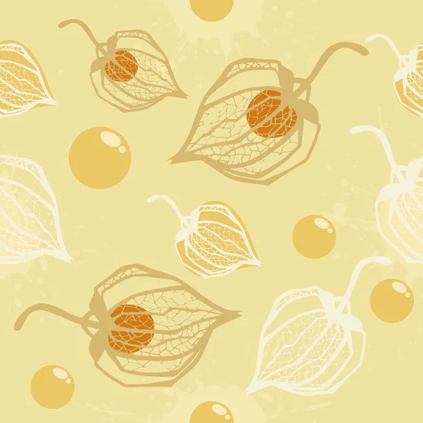 Physalis μοτίβο — Διανυσματικό Αρχείο