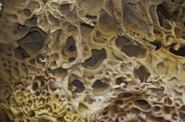 Nature kaprislere. Kumtaşı, Rüzgar ve su Frendship