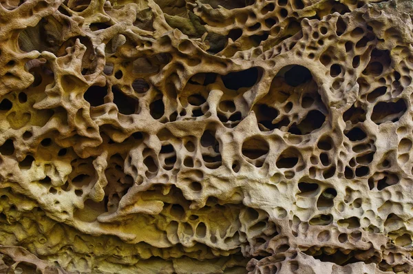 Nature kaprislere. Kumtaşı, Rüzgar ve su Frendship