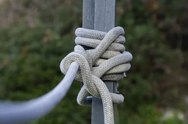 Deniz düğüm yakın çekim 