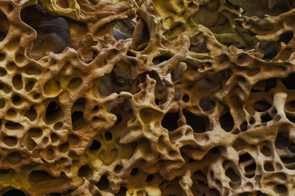 Hayal Rüzgar ve su olarak