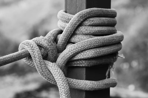 Düğüm siyah ve wite