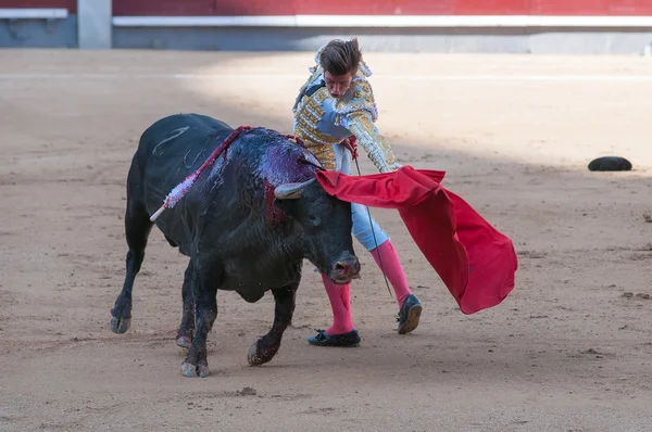 Matador. Arena van "Las Ventas" — Stockfoto