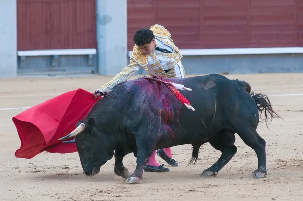 Bullfight, matador preparar ataque mortal — Fotografia de Stock