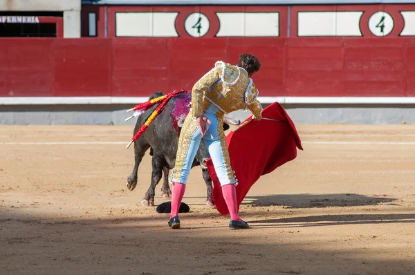 Boğa güreşi, matador hazırlamak ölümcül saldırı