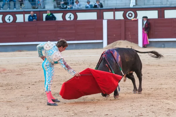 Boğa güreşi, matador hazırlamak ölümcül saldırı