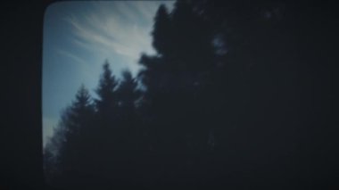 Kışın orman yolunda araba sürerken