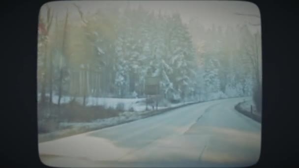 Rijden door zonnig winterbos — Stockvideo