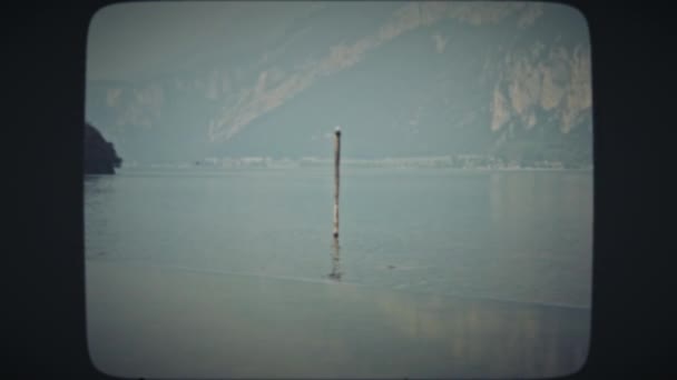 Lone seagull sitting on a wooden column — Stock video