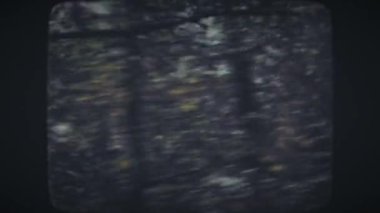 Araba sürerken hızla geçen ağaçlar