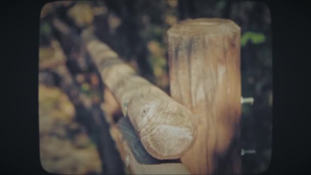 森の真ん中にある木製の柵 — ストック動画
