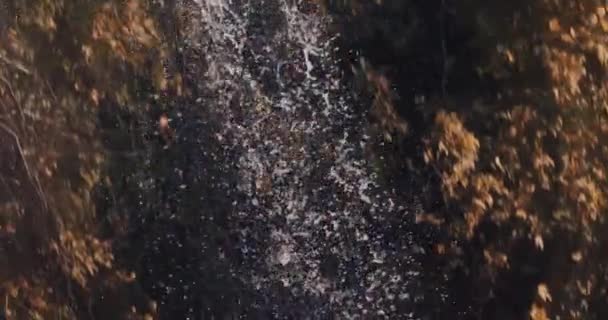 Cascata che si schianta sul fiume di montagna — Video Stock