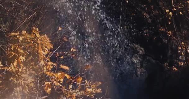 Wasserfall umgeben von Felsen und Blättern — Stockvideo