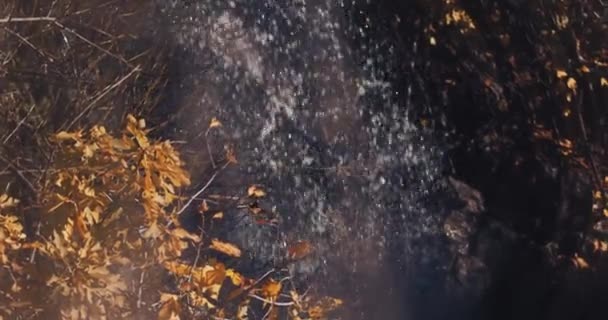 Wasserfall mit getrockneter gelber Kresse — Stockvideo