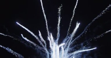 Havai fişekler Karanlık gökyüzünü boyar