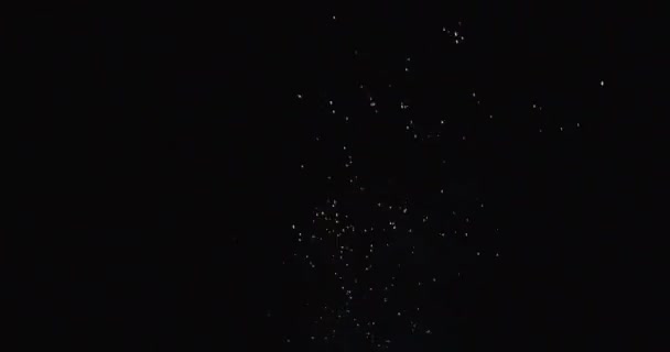 Fogos de artifício tingindo o céu noturno — Vídeo de Stock