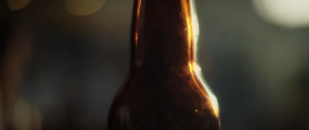 Sol refletindo uma garrafa de vidro escuro — Vídeo de Stock