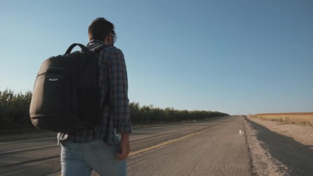 Un hombre caminando con su perro en el camino — Vídeos de Stock