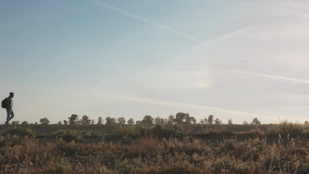 A young man walking with his dog — Stock Video