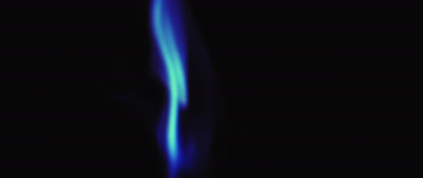 Une seule flamme bleue d'encens brûlant dans l'obscurité — Video