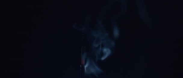Gros plan d'un bâton d'encens brûlant — Video
