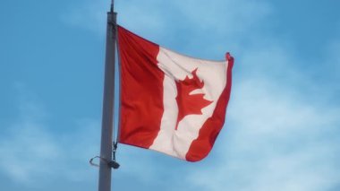 Mavi gökyüzüne karşı rüzgarda dalgalanan Kanada bayrağı. Yavaş çekim. 
