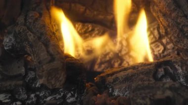 Ahşap odunlarda yanan bir şöminenin yanına. Yavaş çekim. 