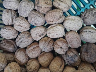 Tüm cevizler sağlıklı besleyici kuru yiyecekler. Omega 3 yağ asitleri, vitaminler ve mineraller gibi ceviz bileşenleri.