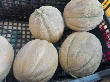 Kavun sağlıklı beslenme olgunluğu meyvesi. Kavun portakalın içinde, tatlı ve aromatik.