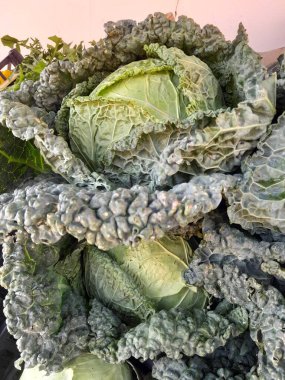 Savoy lahana, çiğ sebze. Yeşil savoy lahanası, A vitamini, C vitamini ve lif gibi sağlık malzemeleri için iyidir. Savoy lahanası buruşuk, yapraklı doku, çıtır çıtır ve tatlı, hafif aromalı sebze..