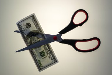 Abd 100 Dolar Banknot Kesme Makas Çifti