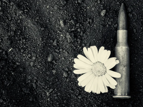 Bullet 7,62 χιλιοστών και λουλούδι — Φωτογραφία Αρχείου