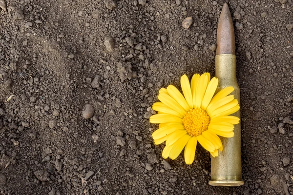 7.62 mm bala y flor —  Fotos de Stock