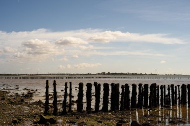 Cudmore Grove Mersea 'de ahşap plaj savunmaları