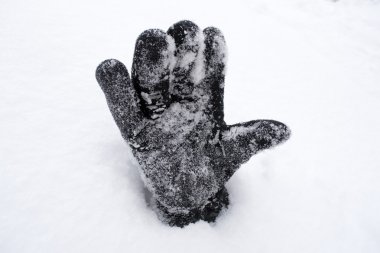 sno eldivenli elinde