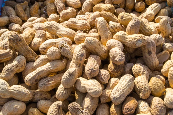 Pile of Monkey Nuts — Stock Photo, Image