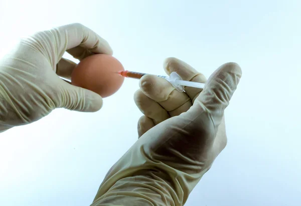 Inyectar un huevo con OMG venenoso — Foto de Stock