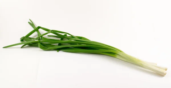 Lente groene uien op een witte achtergrond — Stockfoto