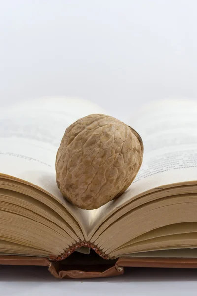 Jediný ořech a kniha — Stock fotografie